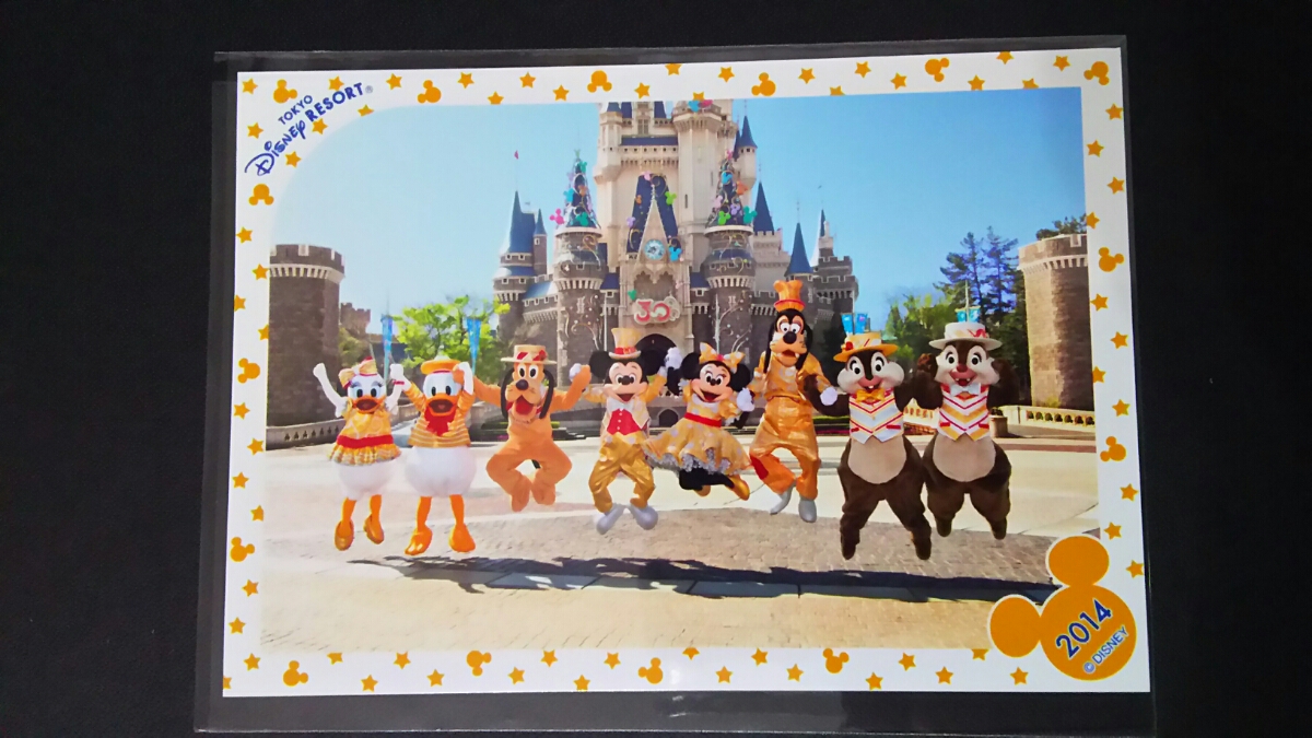 貴重 ディズニーランド TDL 30周年 ハピネス 金コス スペシャルフォト スペフォ ジャンプ ミッキー ミニー ドナルド プルート デイジー