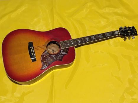 モーリス ハミングバード Morris アコースティックギター WH-20 wh-20