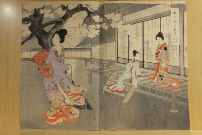 「千代田の大奥　お庭の夜桜」　周延画　3枚続の内左1枚欠　|和本 古典籍　浮世絵版画　江戸風俗　