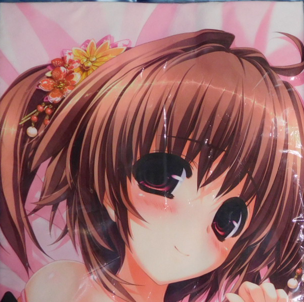 サキガケ ジェネレーション 敷島なつめ 抱き枕カバー 御敷仁 抱き枕 売買されたオークション情報 Yahooの商品情報をアーカイブ公開 オークファン Aucfan Com