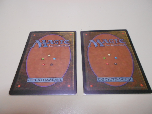 MTG セラの聖域⁄Serra's Sanctum セラの聖域 USG Serra's EN 伝説の土地