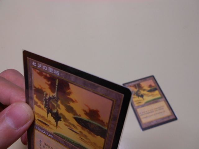 MTG セラの聖域⁄Serra's Sanctum セラの聖域 USG Serra's EN 伝説の土地