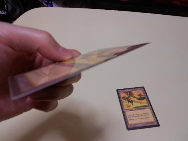 MTG セラの聖域⁄Serra's Sanctum セラの聖域 USG Serra's EN 伝説の土地