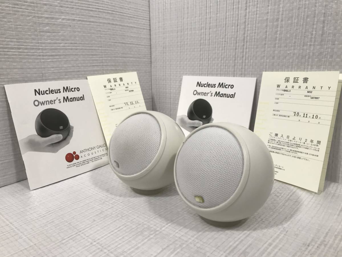 Y180519-4 ANTHONY GALLO アンソニー ギャロ ACOUSTICS NUCLEUS MICRO MS2 二点 セット