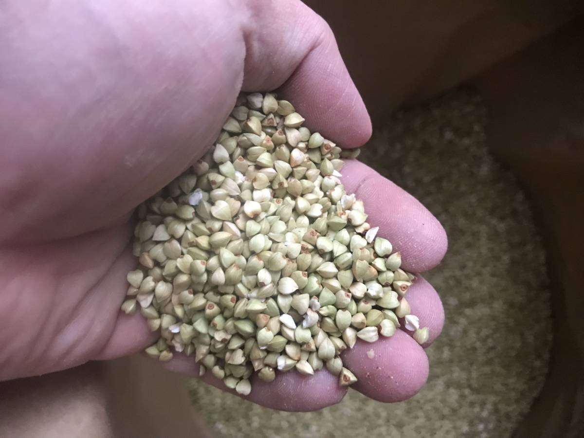 【900g】国産、北海道産のそばの実を幌加内からお届け！平成29年産！新蕎麦！スーパーフード！幌加内そば！産地直送です_2