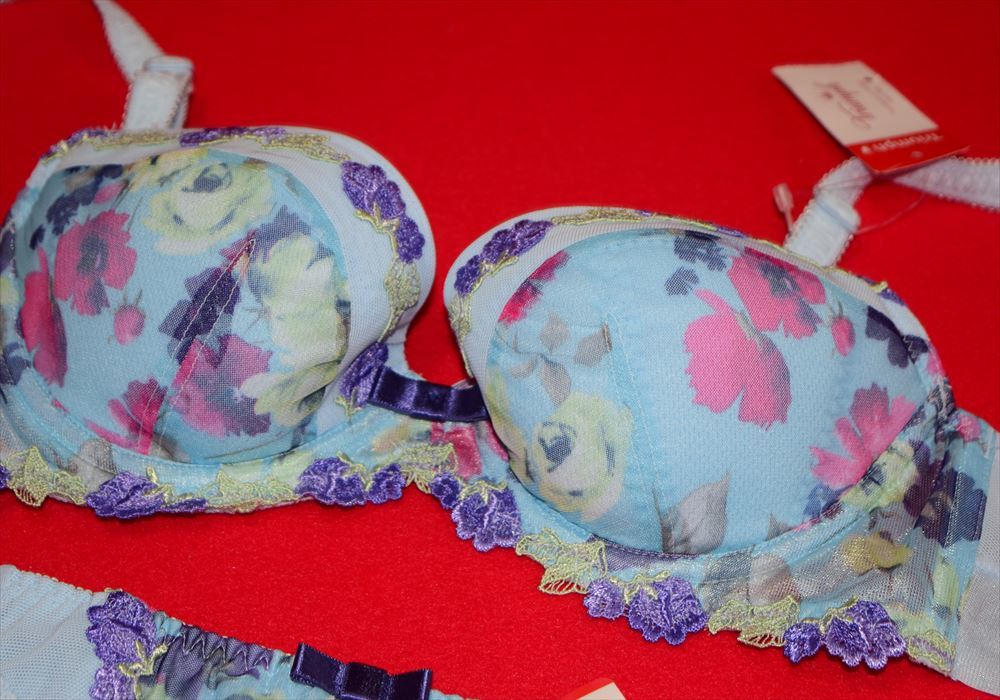 トリンプ ミークローゼット 段差が きにくいブラ ブラジャー ショーツセット C70 70 売買されたオークション情報 Yahooの商品情報をアーカイブ公開 オークファン Aucfan Com