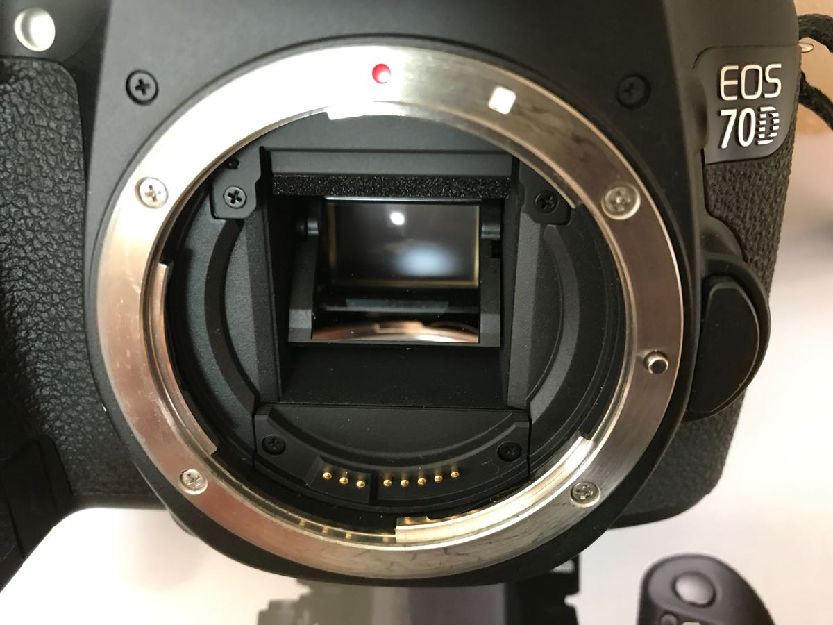 Canon EOS70D (W) レンズなし Canon EOS 70D ボディ 【公式通販】