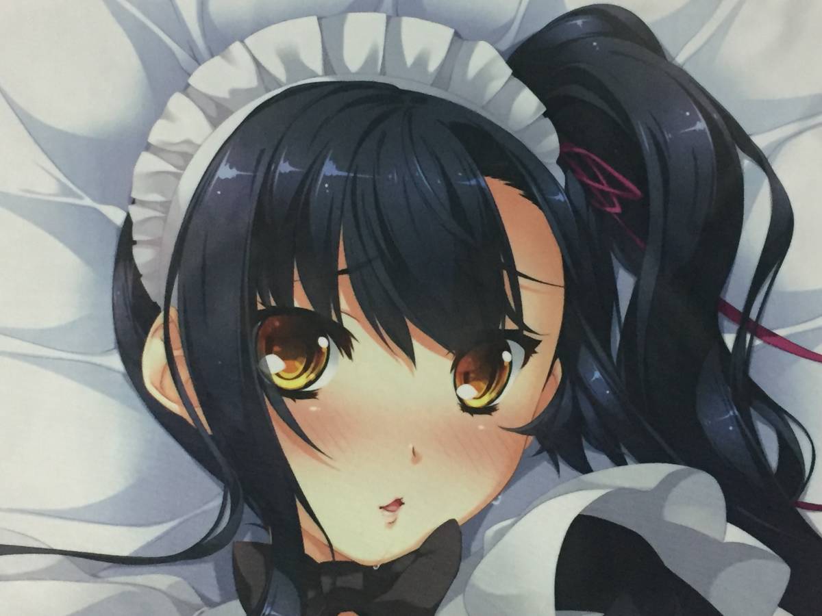 C92 ネクストン 愛紗抱き枕カバー 正規品 恋姫†夢想 片桐雛太 2026年 