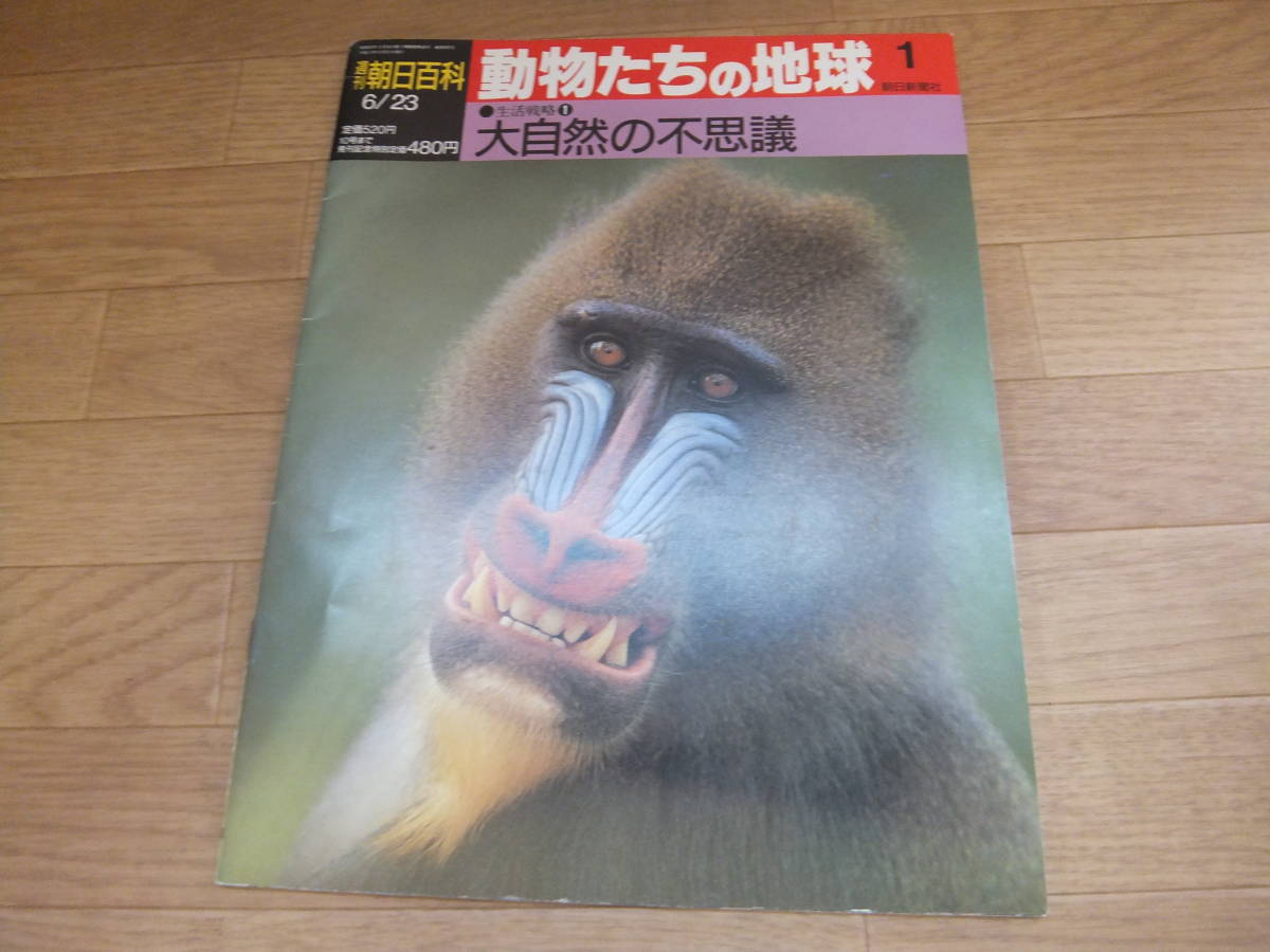 週刊朝日百科 動物たちの地球 全144冊セット BOX付 動物たちの