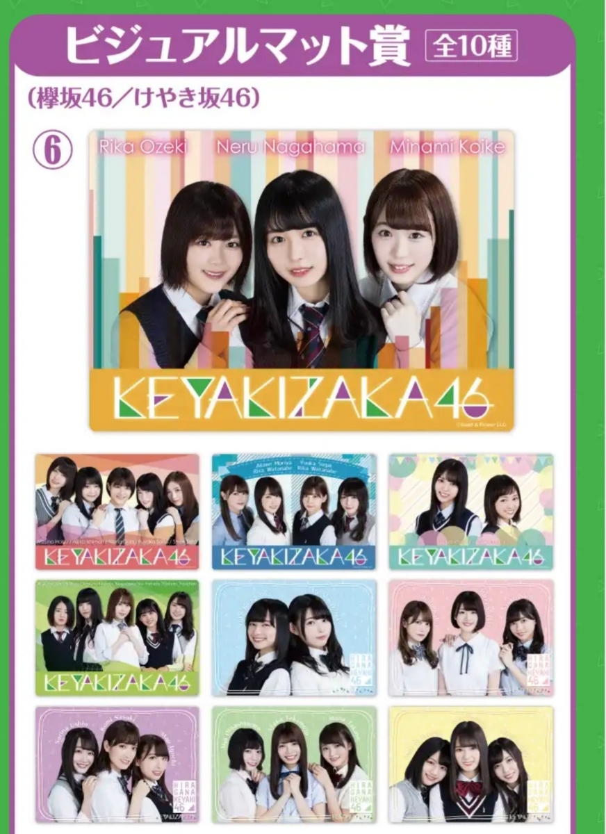 くじっちゃお☆ローソン限定くじ 欅坂46くじ ラスト賞/応援幕(ポーチ