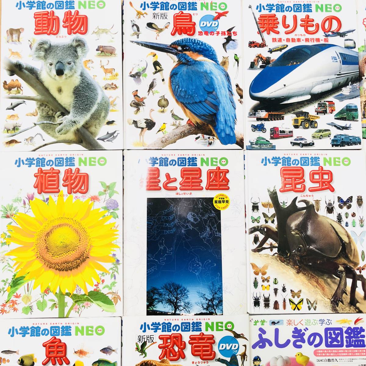 ◆◇小学館の図鑑ＮＥＯ8巻・ＮＥＯ+2巻・プレNEO1巻　全11巻◇◆