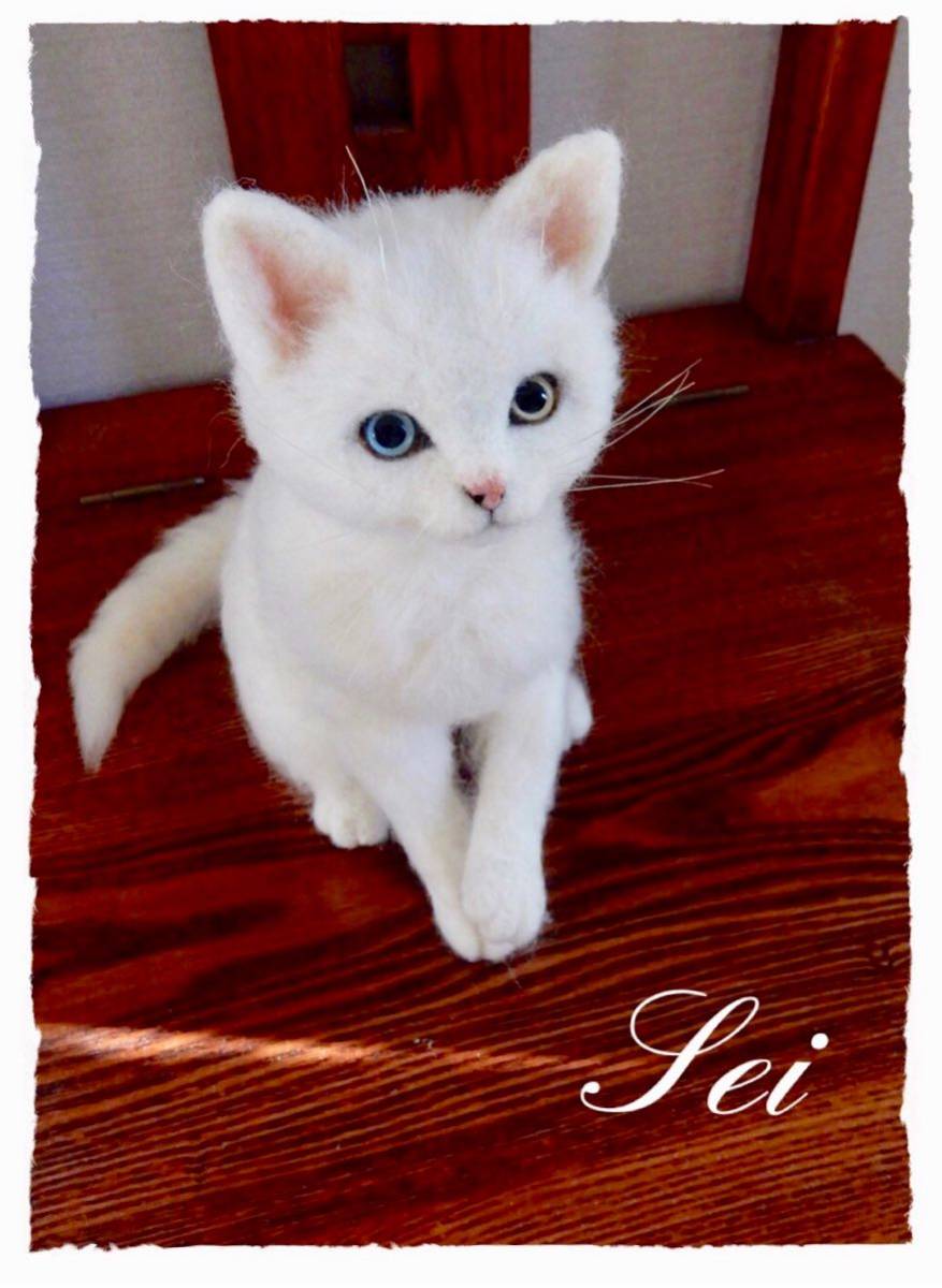 ◇sei◇ 羊毛フェルト オッドアイの白猫 子猫 猫 ハンドメイド 見本