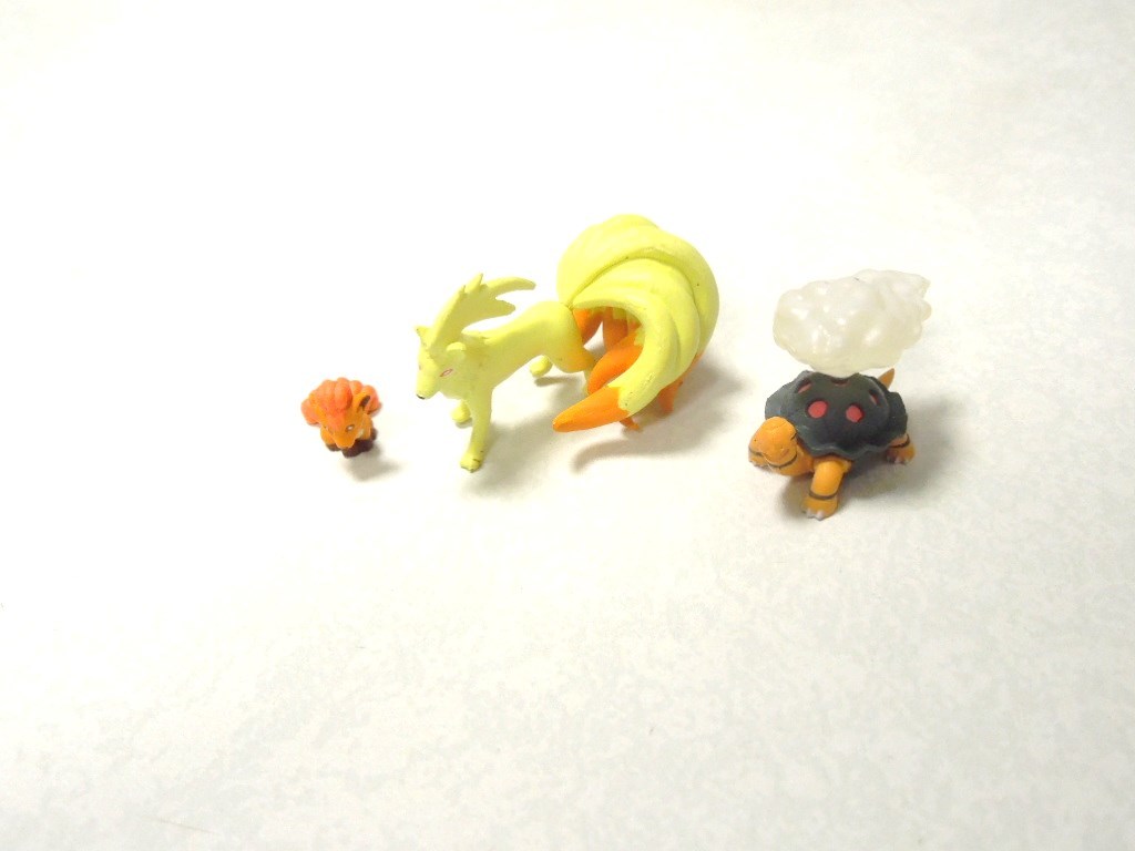 立体ポケモン図鑑 キュウコン ロコン コータス 公式通販 第8集
