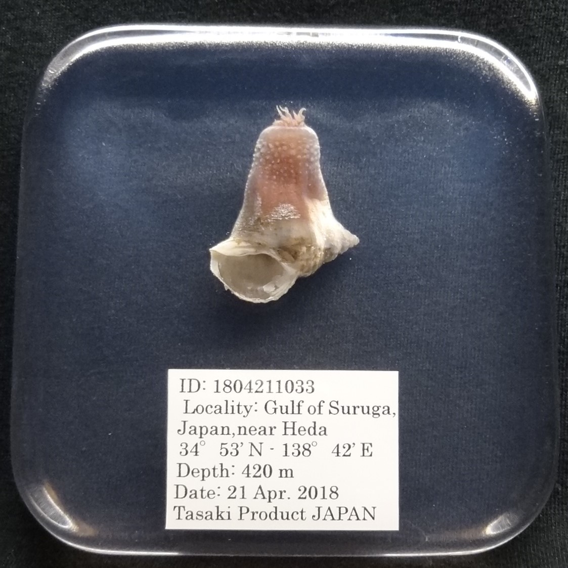 f289112097.1