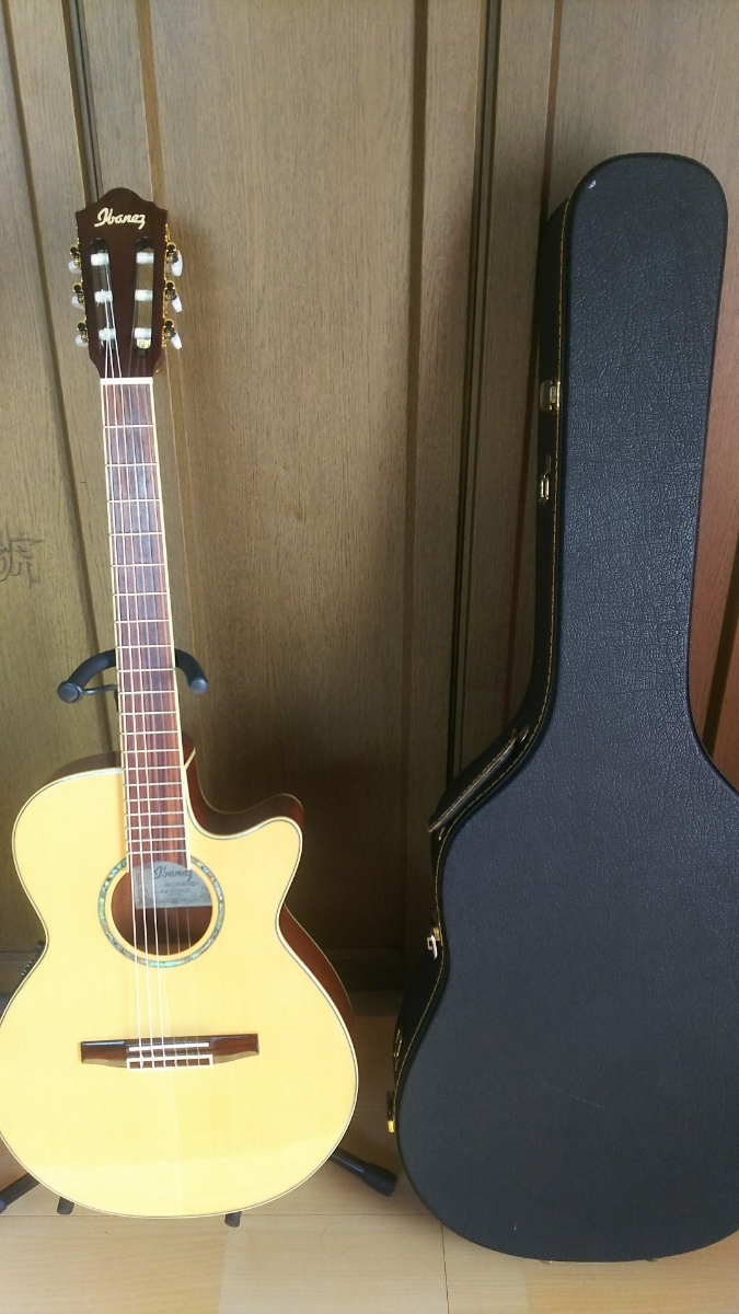 Aria Elecord FET-DLX エレアコ made in japan