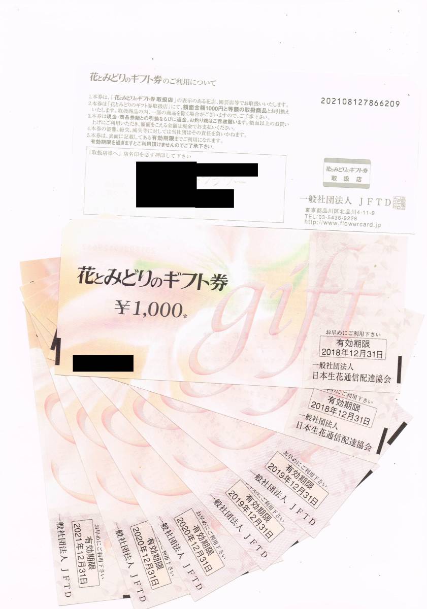 花とみどりのギフト券 8000円分　（1000円券×8枚）