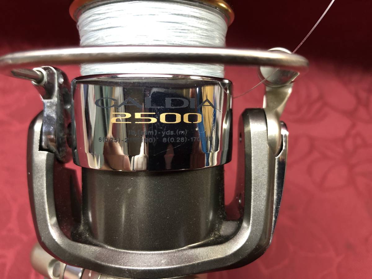 daiwa CALDIA 2500 リール 0 ダイワ Daiwa 11カルディア 釣具 (2500