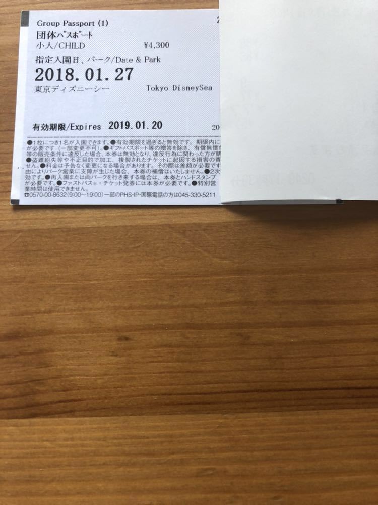 ディズニーチケット/大人2人、小人2人 解説ディズニーチケットの ディズニーチケット/大人2人、小人2人 解説ディズニーチケットの