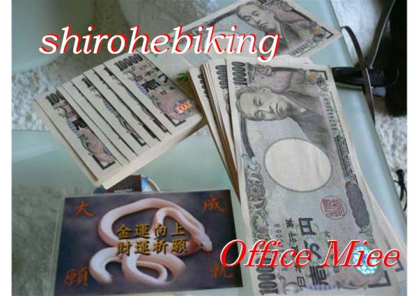 最新作，HOT ガチ 再入荷 本家本元本物の開運金運白蛇様カード(その他)｜売買されたオークション情報、yahooの商品情報をアーカイブ公開 - オークファン その他