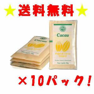 【送料無料】カカオパルプ フルッタ 400g×10パック(4kg) 冷凍