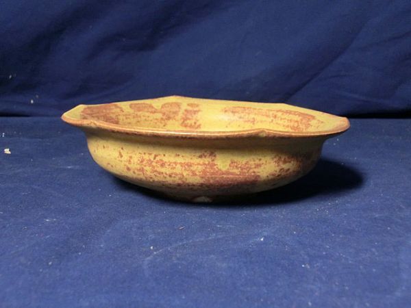 瀬津義雄 作 黄瀬戸 向付（5客）共箱（茶道具／小鉢／陶芸家） 作家「