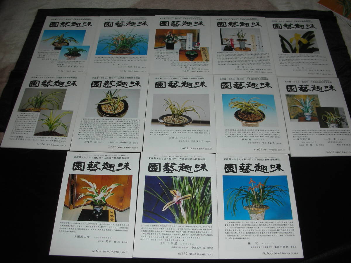 「園芸趣味」　日本春蘭　韓国春蘭　春ラン　東洋蘭　万年青　月刊雑誌　合計１３冊