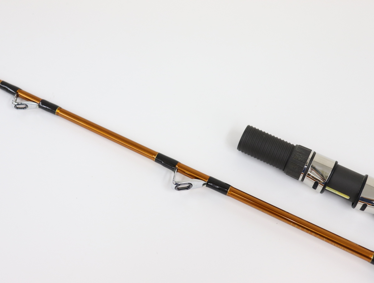 ダイワ Daiwa リーディングX サソイ 100-180 ダイワ リーディングX
