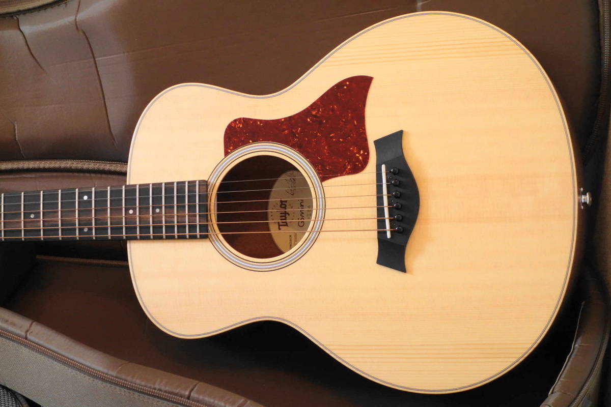Taylor Mini-e Walnut GS - | The Music Zoo Natural Edition Special 