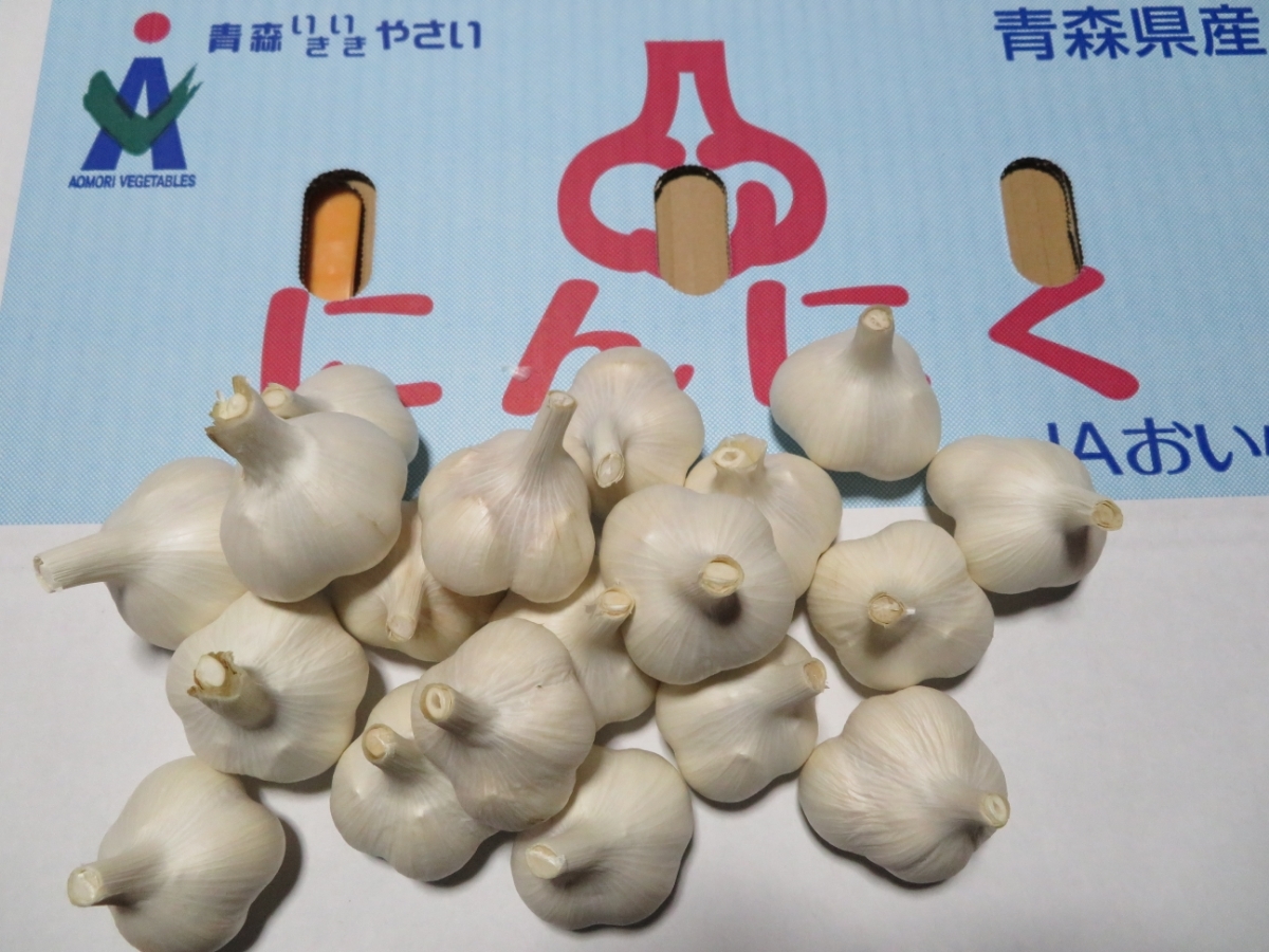 にんにく 消毒済み 青森県産 青森 消毒 5キロ 野菜 ニンニク種 5キロ