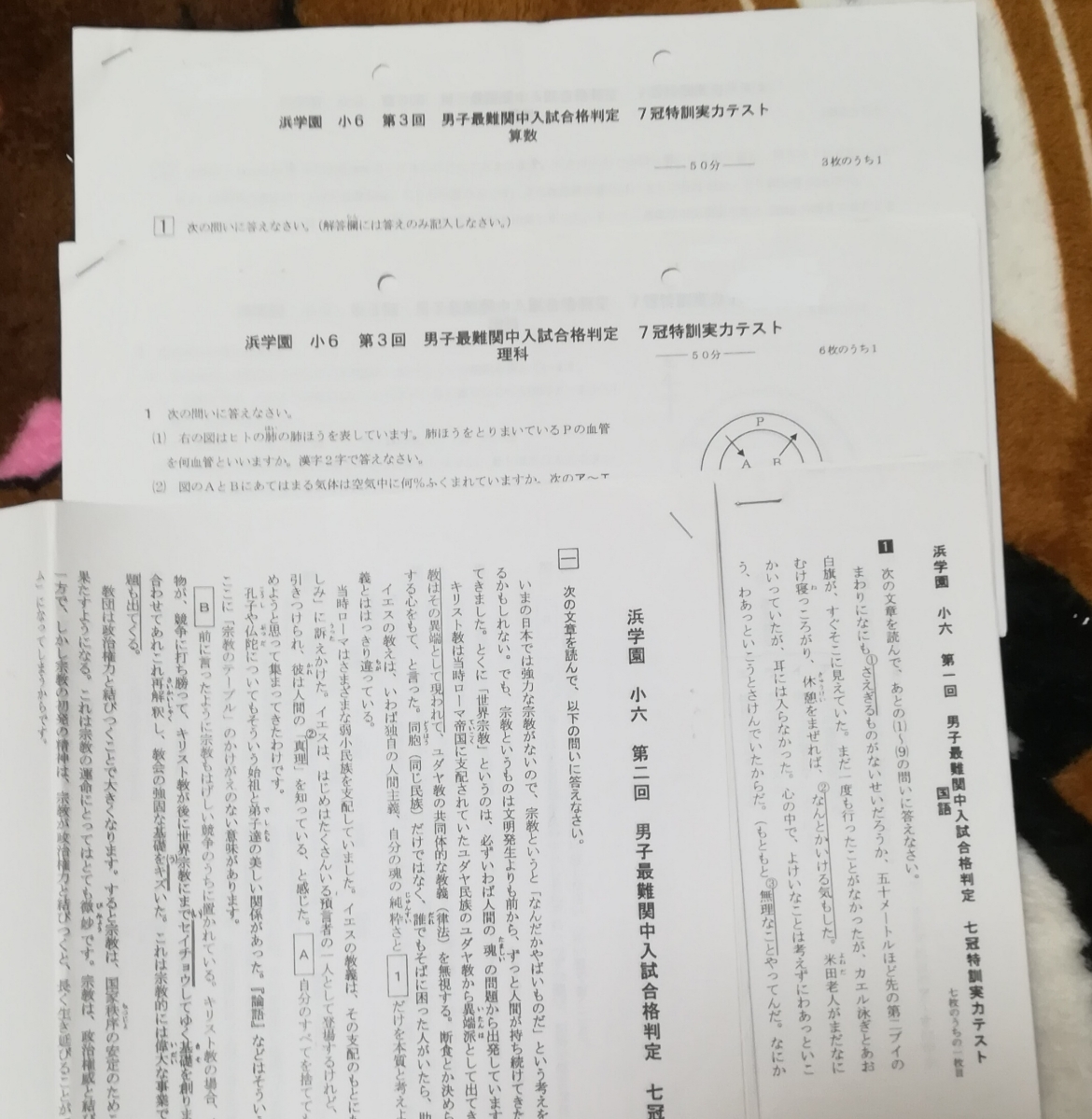 浜学園小6 男子最難関入試合格判定 第1〜3回 七冠特訓 フルセット 算数