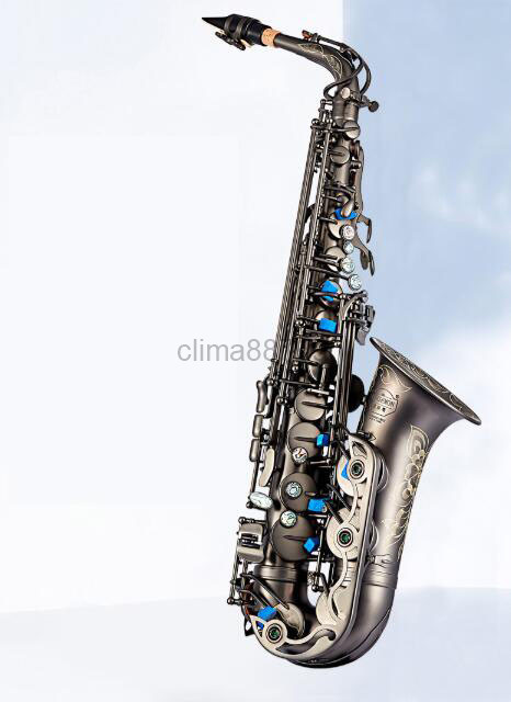 立派な外観　素晴らしい音色　初心者　サックス　プロ級　楽器　変e調　中音サックス　ブラック　ニッケル彫刻