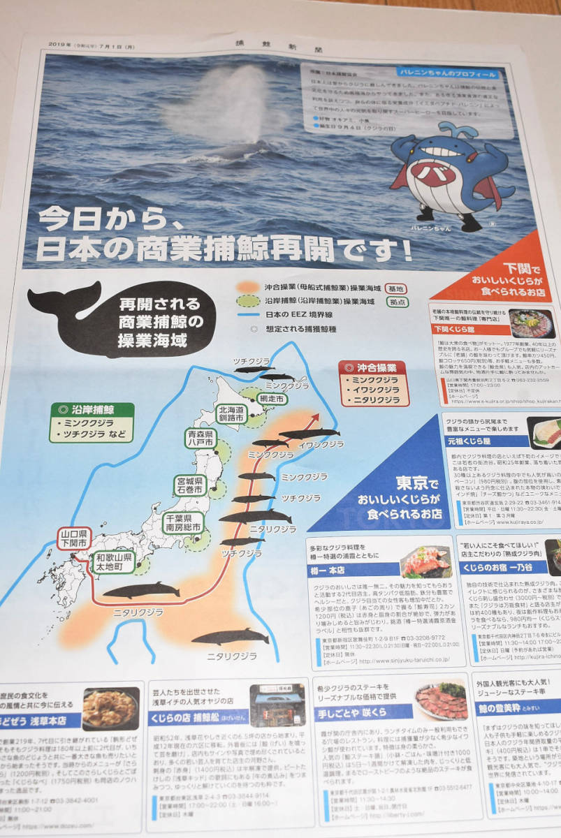 捕鯨新聞　号外　商用捕鯨　日本捕鯨協会