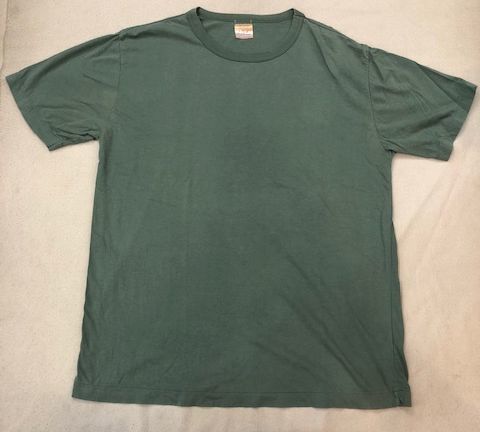 初期 SHANTII シャンティ Tシャツ グリーン ムラジュン TR4SUSPENSION