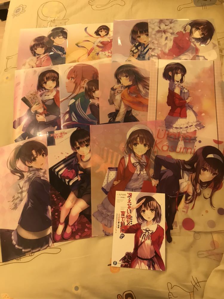 ドラゴンマガジン とらのあな購入特典 冴えない彼女の育てかた クリア