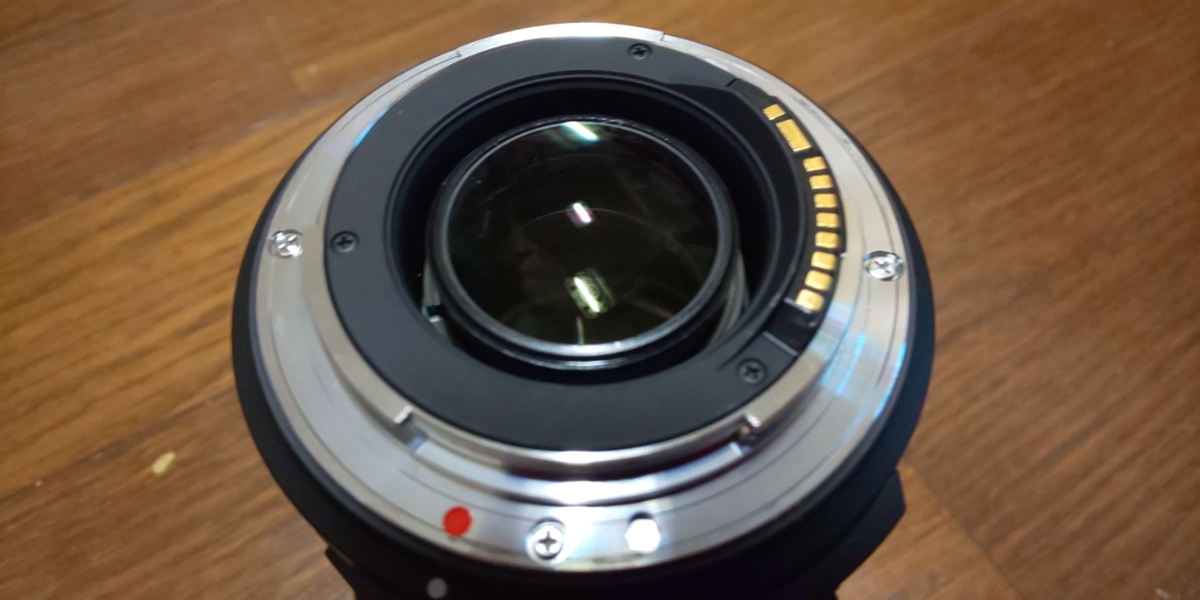 送料無料 シグマ 17-50mm F2.8 EX DC OS HSM キャノン Canon _3