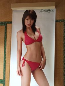 激レア珍品　ビンテージ　ドイツ　ドラえもん　熊田曜子　アニメ　グラビア　ポスター 熊田曜子 ポスターのYahoo!オークション(旧ヤフオク!)の相場・価格を