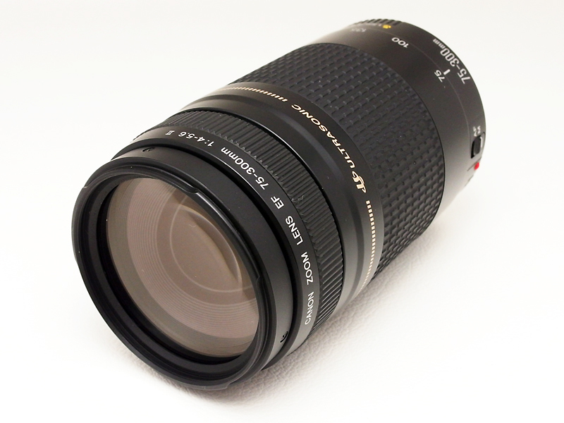 ☆超極上級☆キャノン Canon EF-S 55-250mm f4-5.6 IS STM イベント活躍