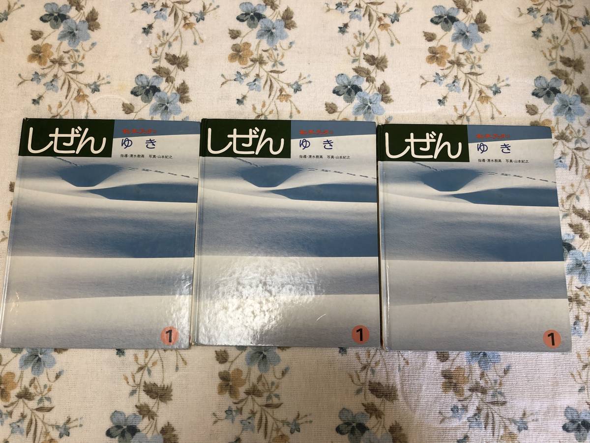 絵本まとめて21冊 しぜん キンダーブック 不揃い 使用感有り