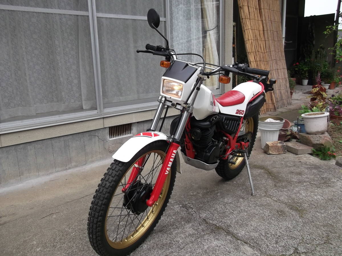 TY250 Yamaha 53y スコティッシュ メルカリ ヤマハ ty250 53Y TY250Z