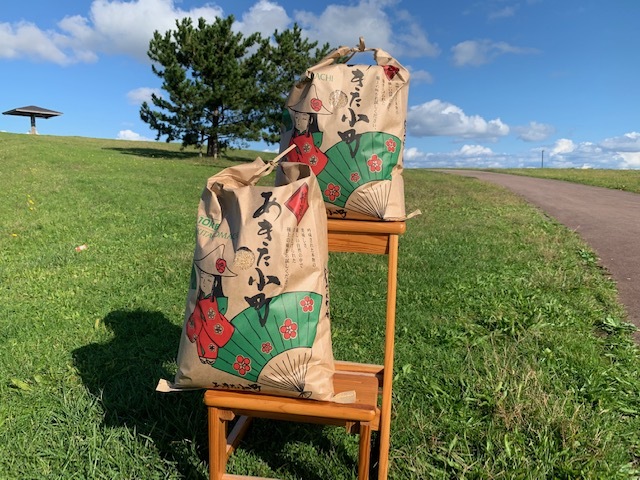 新米　あきたこまち白米20キロ(10キロ×2)令和元年　秋田県男鹿国定公園産 送料無料_2