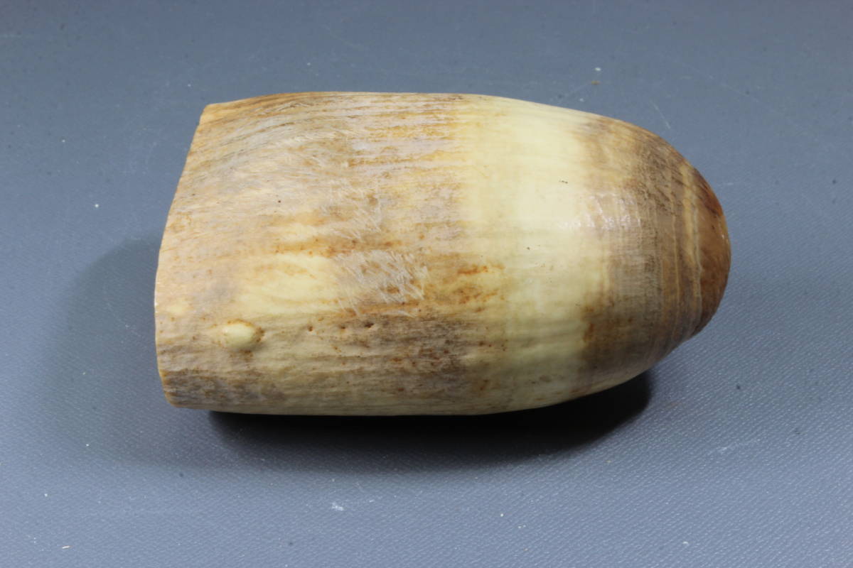 コレクター所蔵品 天然素材 羊 彫刻 根付 抹香鯨 古美術品 根付 