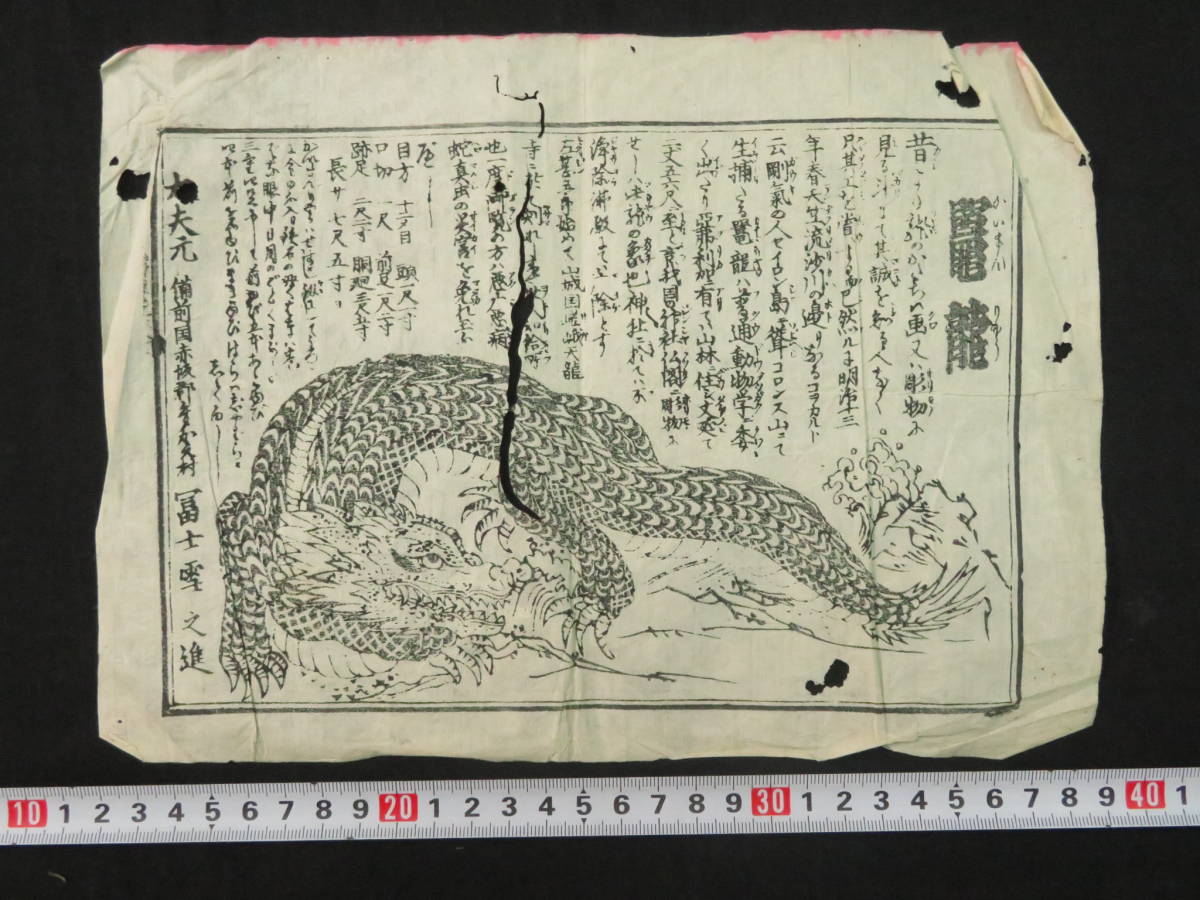 江戸期 珍獣 刷物『かいまん龍』海龍図 怪獣 見世物興行 冨士雪之進