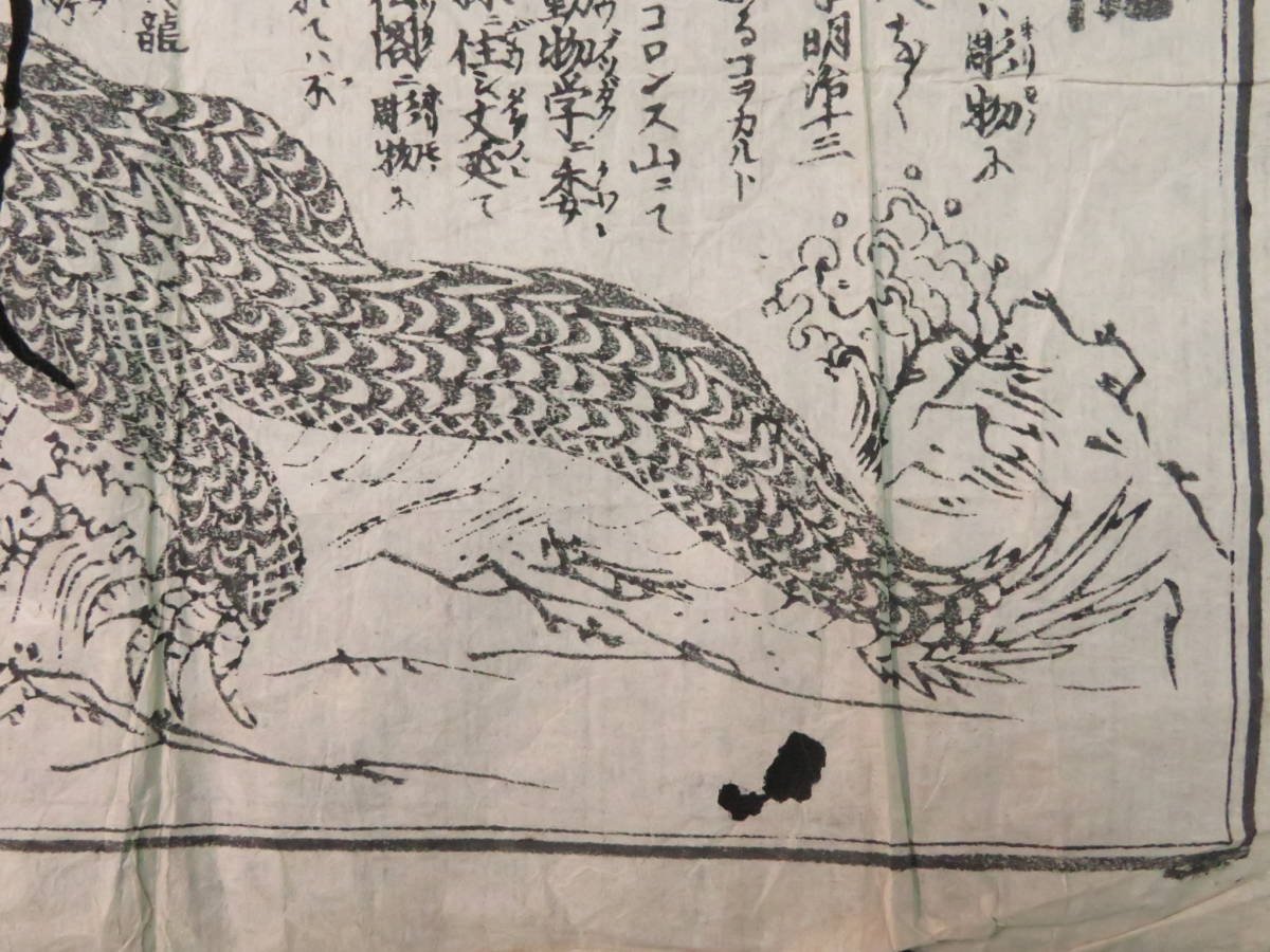 江戸期 珍獣 刷物 かいまん龍 海龍図 怪獣 見世物興行 冨士雪之進 瓦版