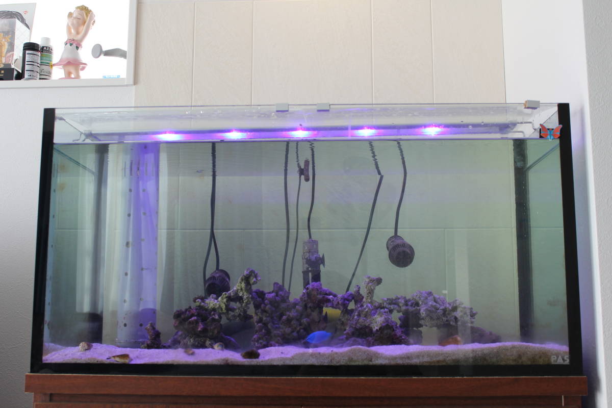 大型オーバーフロー水槽セット 海水魚飼育用 届いた日から使用 きる 90cm 売買されたオークション情報 Yahooの商品情報をアーカイブ公開 オークファン Aucfan Com