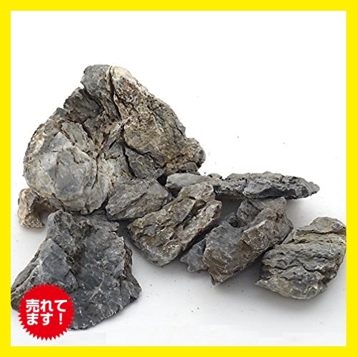 新作登場，限定SALE 商品 送料無し 色- サイズ- カミハタ 青華石 レイアウトセット(水槽装飾品)｜売買されたオークション情報、yahooの商品情報をアーカイブ公開 - オークファン 水槽装飾品