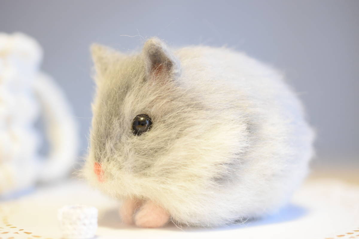 Hamsterbucks Coffee Sweet Cocoa ハンドメイド 羊毛フェルト ジャンガリアンハムスター ブルーサファイア コーヒー フェイクフード 羊毛フェルト 売買されたオークション情報 Yahooの商品情報をアーカイブ公開 オークファン Aucfan Com