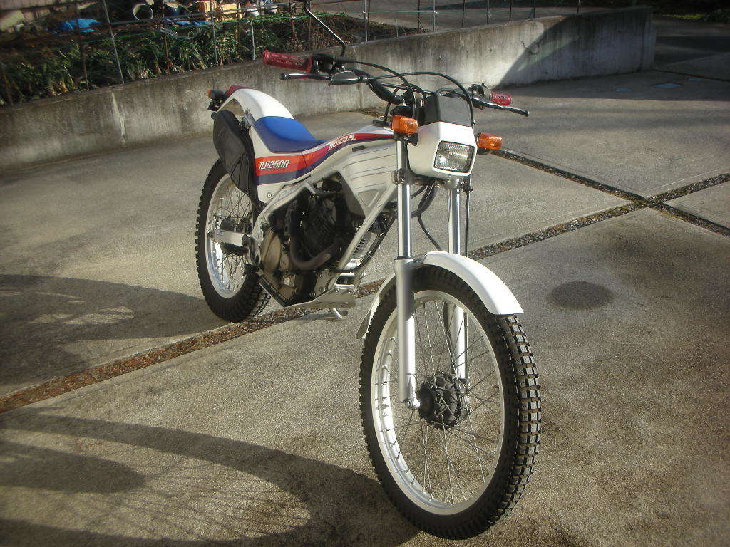 ホンダ　トライアル　TLR２５０　MD18　極上車　実働　走行済　オフロード　TLR200　ヤマハ