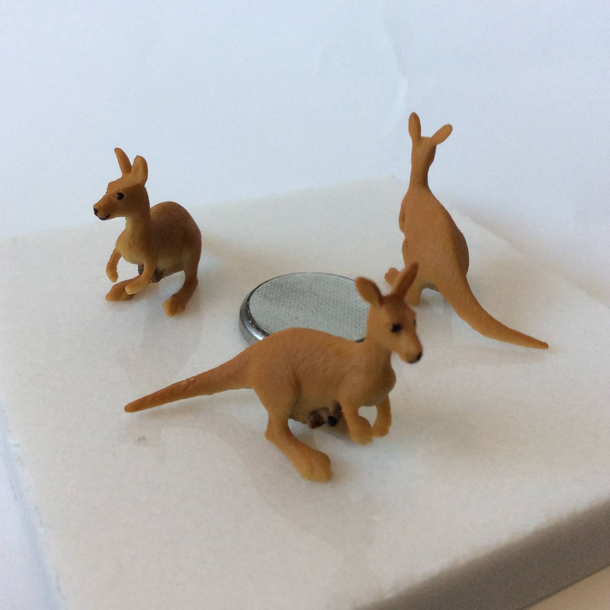 ミニチュア 動物 フィギュア カンガルー ワラビー 3匹 ジオラマ Not シュライヒ 小さい 生き物 売買されたオークション情報 Yahooの商品情報をアーカイブ公開 オークファン Aucfan Com