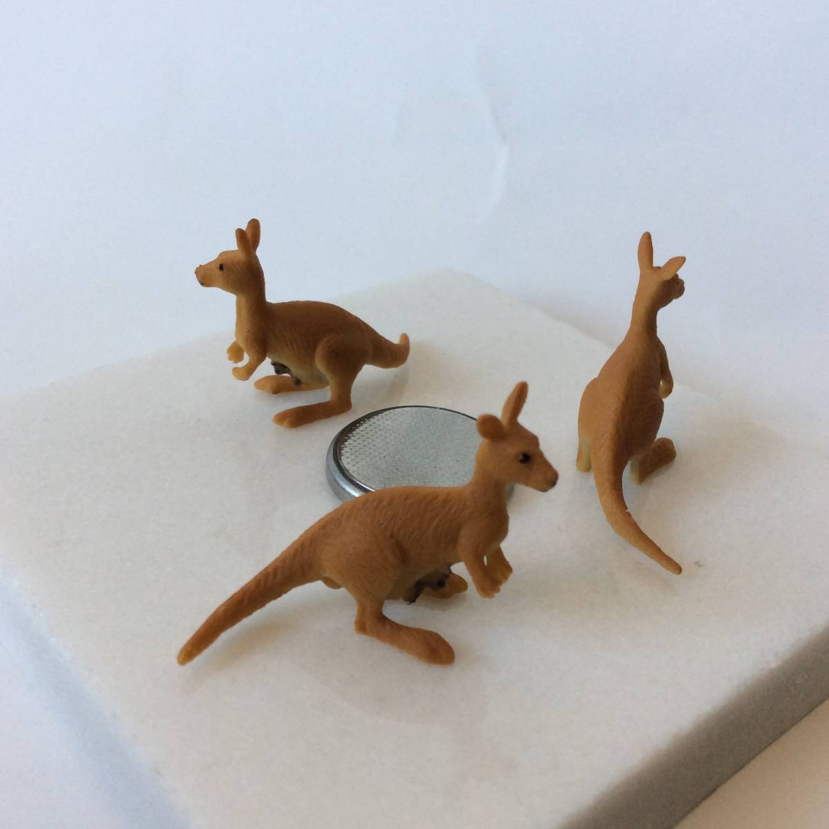 ミニチュア 動物 フィギュア カンガルー ワラビー 3匹 ジオラマ Not シュライヒ 小さい 生き物 売買されたオークション情報 Yahooの商品情報をアーカイブ公開 オークファン Aucfan Com