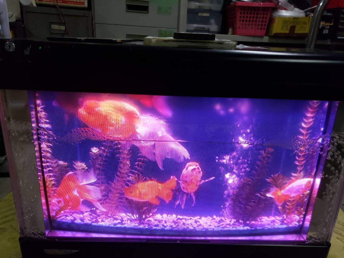 魚八景ジュニア（バーチャル水槽） 【公式通販】